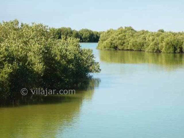 عکس شماره 7 - تالاب حله بوشهر