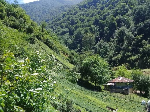 عکس اصلی شماره 1 - روستای فوشه نزدیک قلعه رودخان