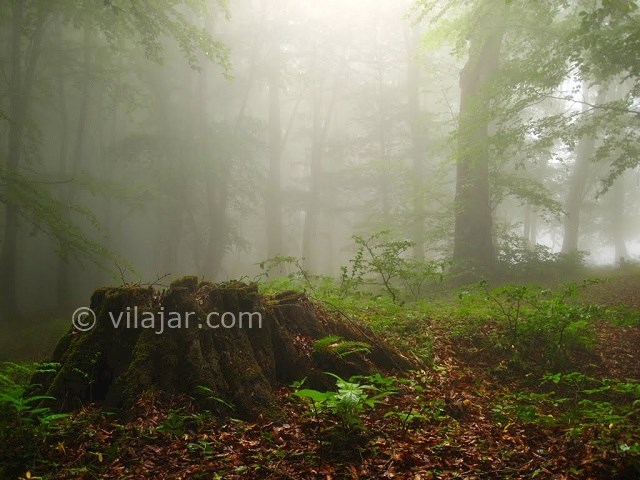 عکس شماره 30 - جاهای دیدنی کلاردشت