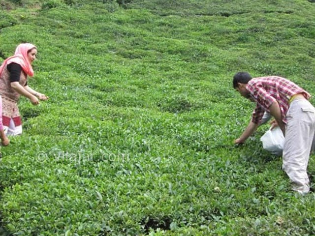 عکس شماره 7 - روستای فوشه نزدیک قلعه رودخان