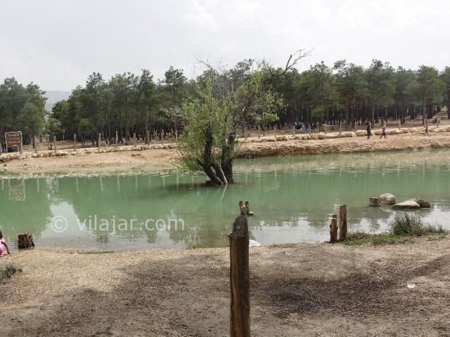 عکس شماره 4 - پارک جنگلی انقلاب زرقان