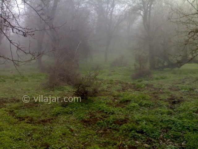 عکس شماره 35 - جاهای دیدنی کلاردشت