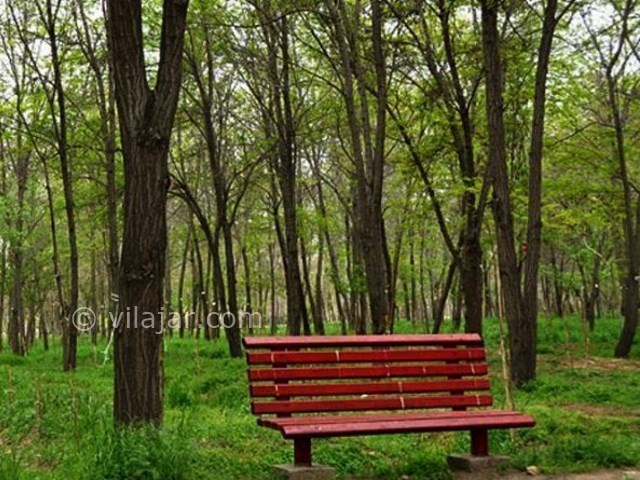 عکس شماره 5 - پارک جنگلی طرق مشهد