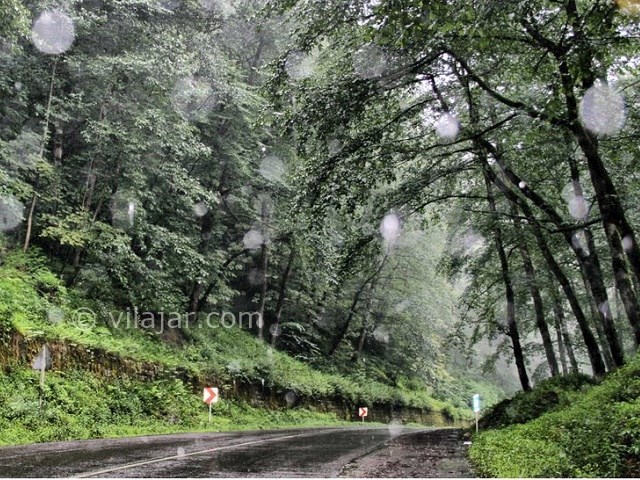 عکس شماره 37 - جاهای دیدنی کلاردشت