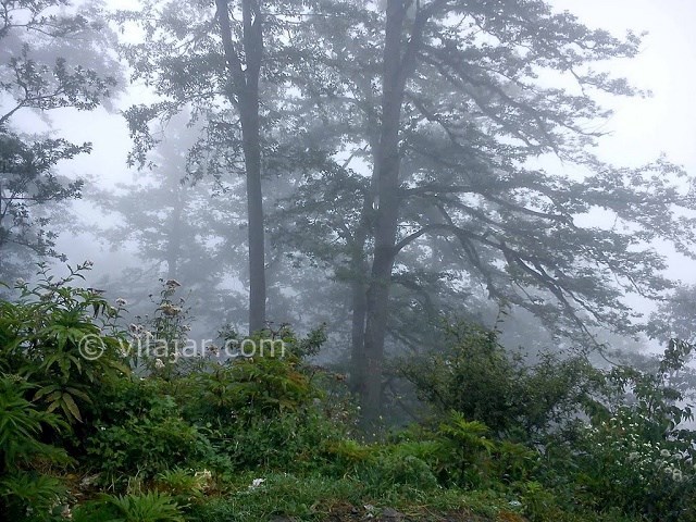 عکس شماره 42 - جاهای دیدنی کلاردشت