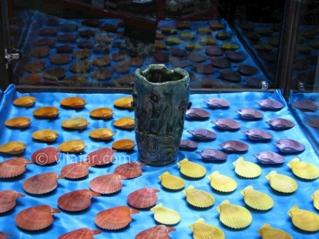 عکس شماره 7 - موزه صدف اصفهان