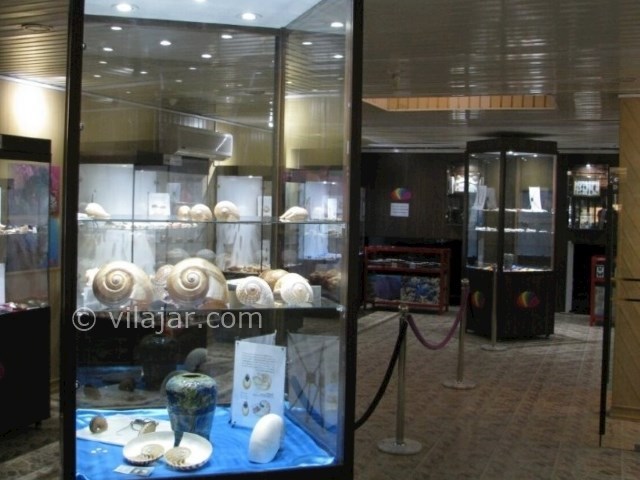 عکس شماره 13 - موزه صدف اصفهان