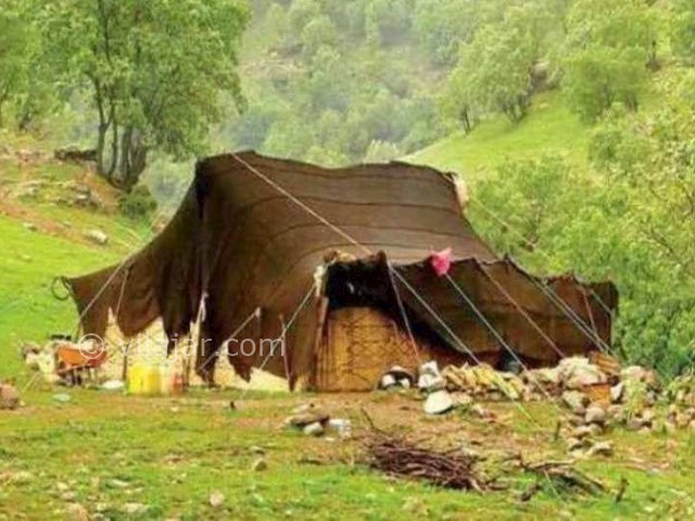 عکس شماره 11 - سیاه چادر پناهگاه عشایر