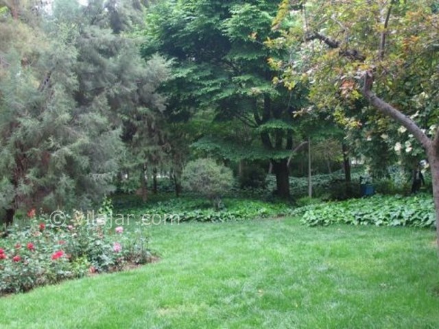 عکس شماره 10 - پارک و فرهنگسرای شفق تهران