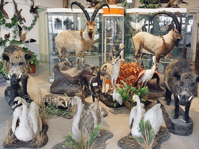 عکس شماره 6 - پارک پردیسان تهران