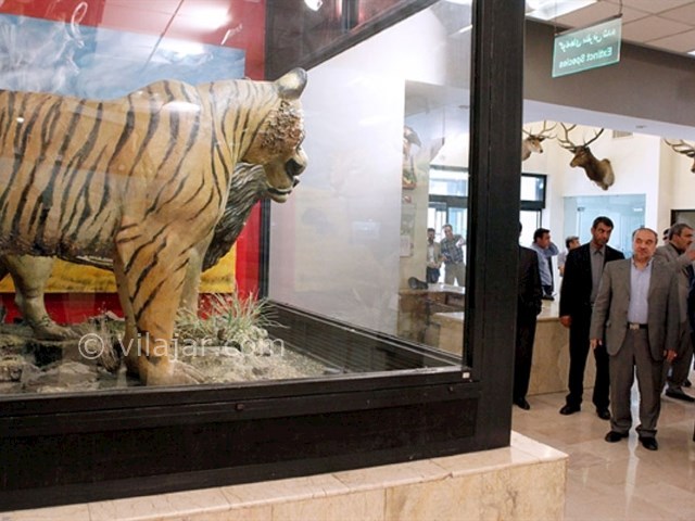 عکس شماره 8 - پارک پردیسان تهران