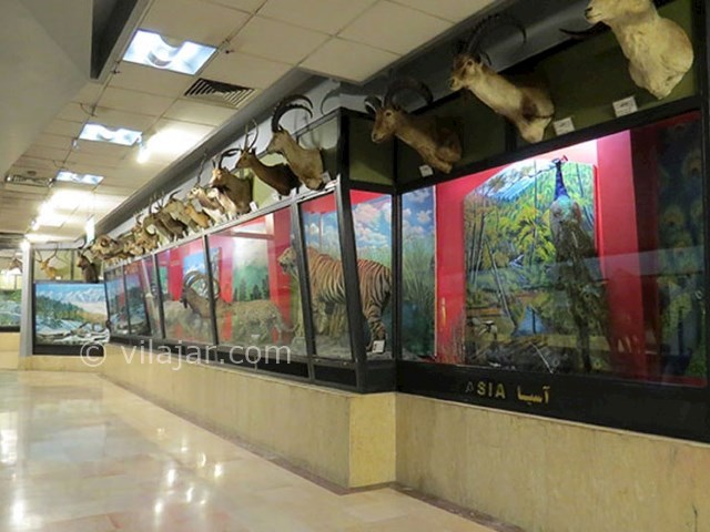 عکس شماره 9 - پارک پردیسان تهران