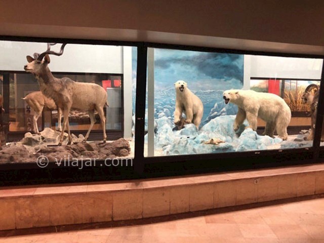 عکس شماره 12 - پارک پردیسان تهران