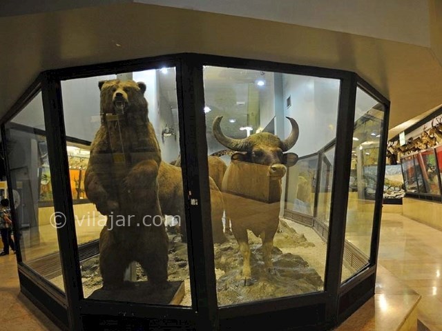 عکس شماره 18 - پارک پردیسان تهران