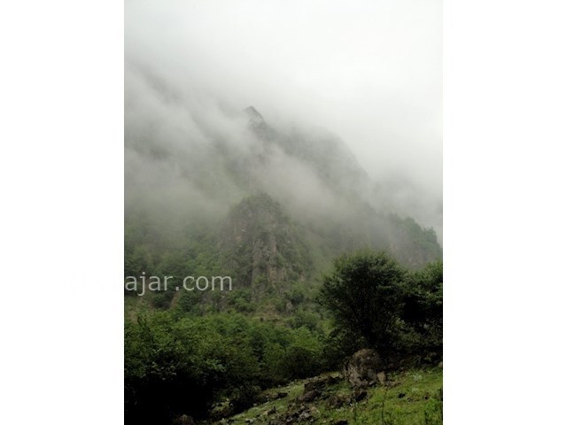 عکس شماره 4 - جنگل دالخانی رامسر کجاست؟