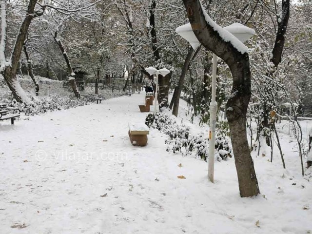 عکس شماره 5 - بوستان قیطریه تهران