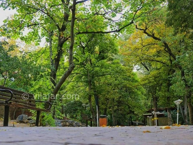 عکس شماره 9 - بوستان قیطریه تهران