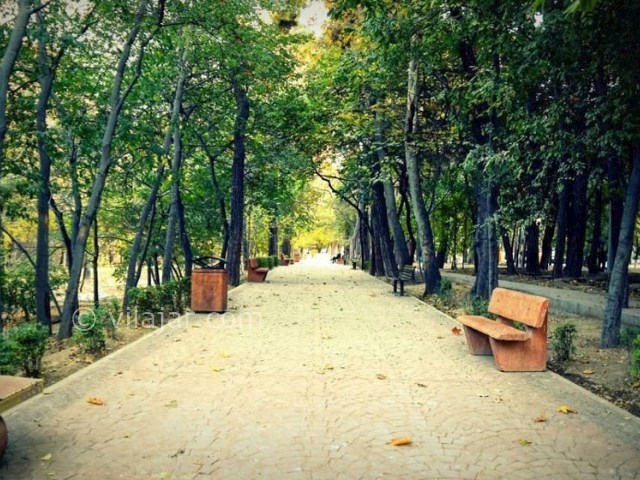 عکس شماره 10 - بوستان قیطریه تهران