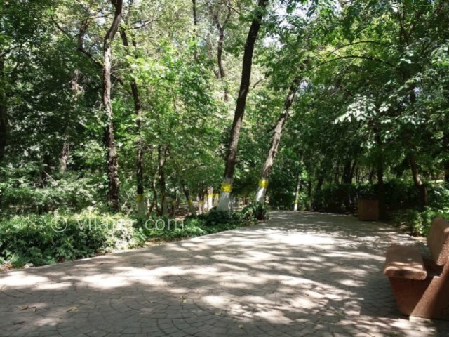 عکس شماره 16 - بوستان قیطریه تهران