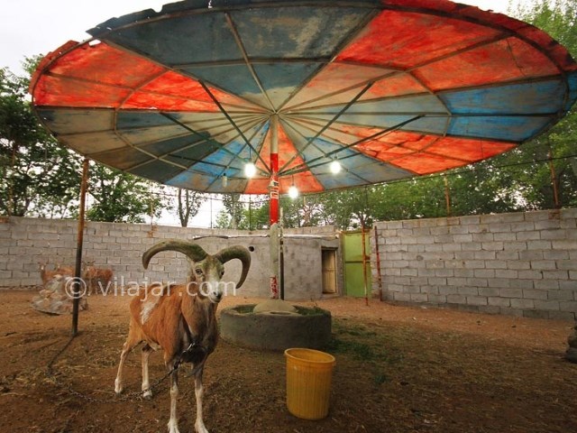 عکس شماره 13 - مجموعه تفریحی باغلارباغی