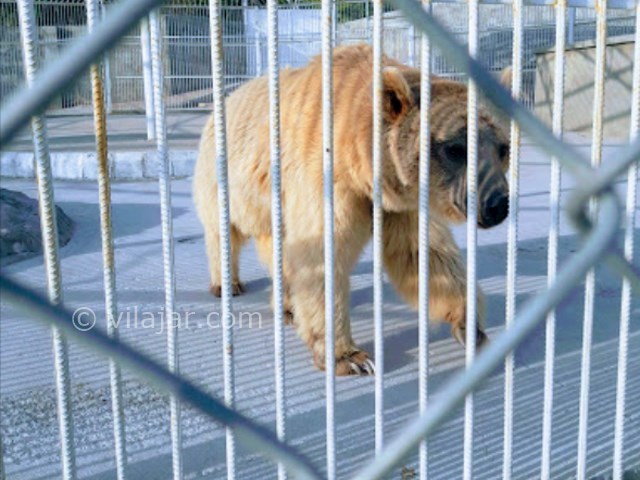 عکس شماره 14 - مجموعه تفریحی باغلارباغی