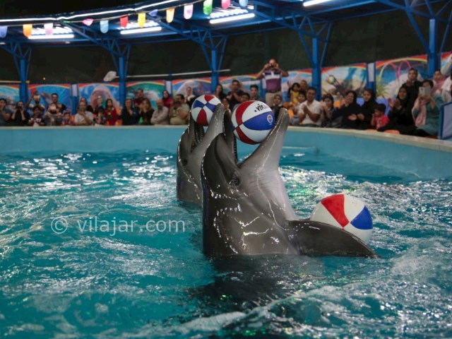 عکس شماره 15 - مجموعه تفریحی باغلارباغی