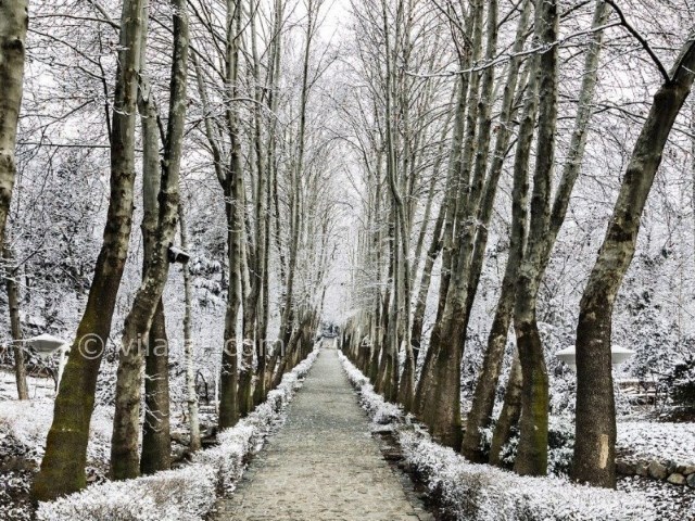 عکس شماره 5 - باغ سنگی جمشیدیه