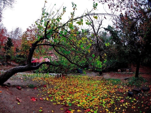 عکس شماره 9 - باغ سنگی جمشیدیه