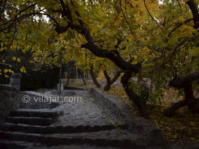 عکس شماره 15 - باغ سنگی جمشیدیه