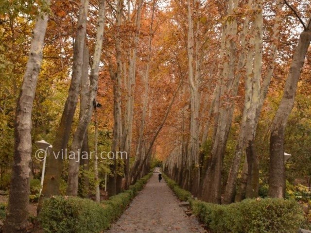 عکس شماره 17 - باغ سنگی جمشیدیه