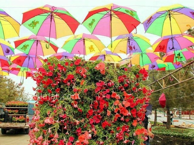 عکس شماره 3 - دهکده ساحلی چی چست ارومیه