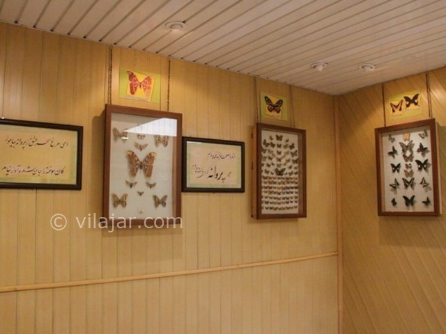 عکس شماره 4 - باغ موزه پروانه اصفهان