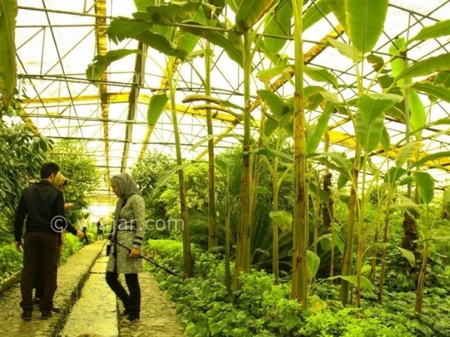 عکس شماره 9 - باغ موزه پروانه اصفهان