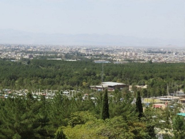 عکس شماره 3 - جنگل قائم در کرمان