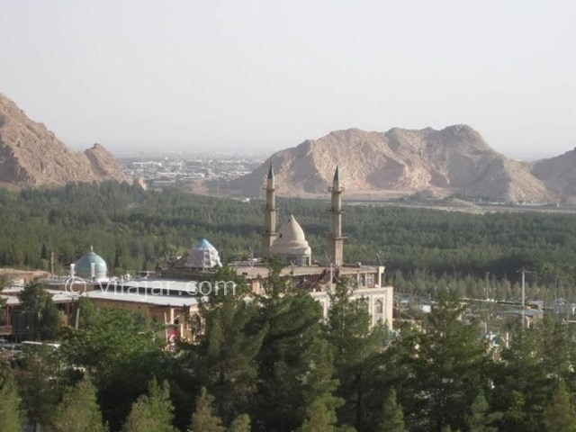 عکس شماره 4 - جنگل قائم در کرمان