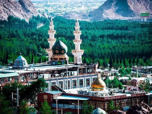 عکس شماره 5 - جنگل قائم در کرمان