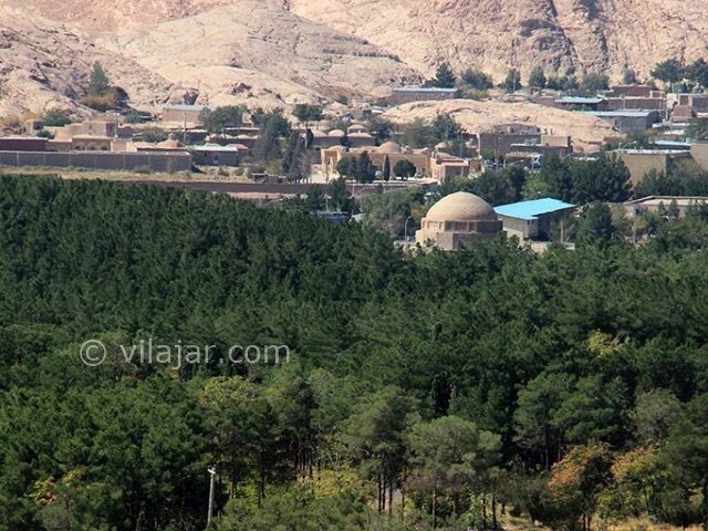 عکس شماره 6 - جنگل قائم در کرمان