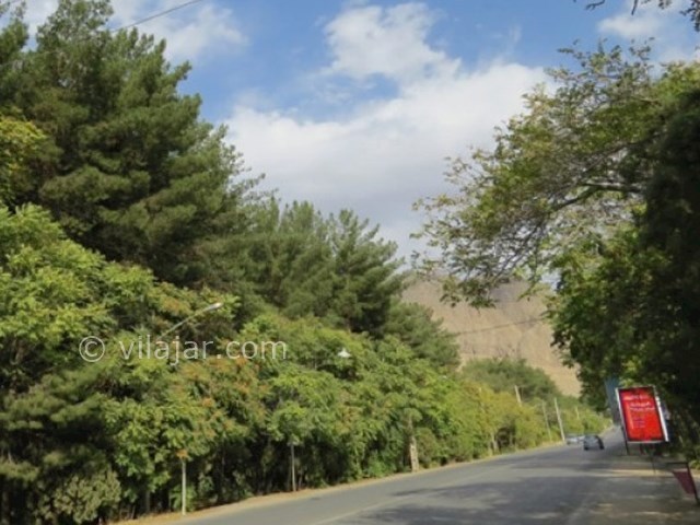 عکس شماره 7 - جنگل قائم در کرمان