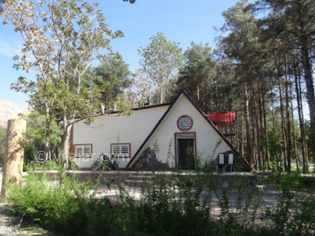 عکس شماره 9 - جنگل قائم در کرمان