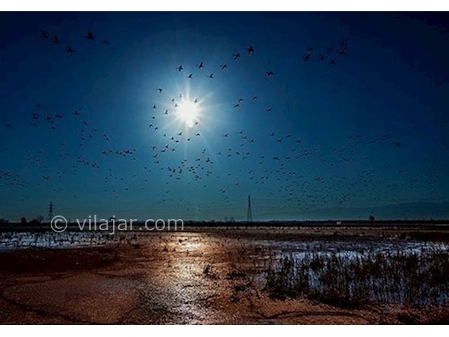 عکس شماره 6 - جاذبه‌های گردشگری فریدونکنار