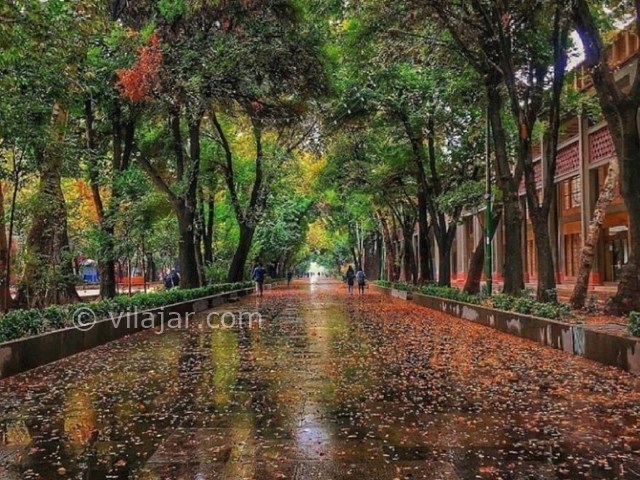 عکس شماره 6 - خیابان چهارباغ اصفهان