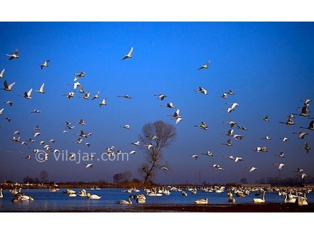 عکس شماره 8 - جاذبه‌های گردشگری فریدونکنار