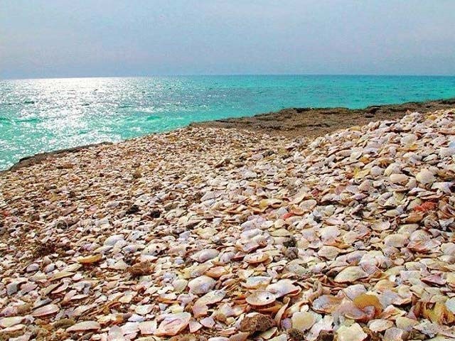 عکس شماره 8 - جزیره هندورابی