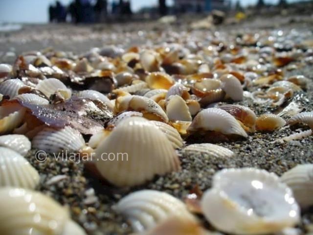 عکس شماره 9 - جاذبه‌های گردشگری فریدونکنار