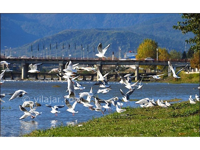 عکس شماره 11 - جاذبه‌های گردشگری فریدونکنار