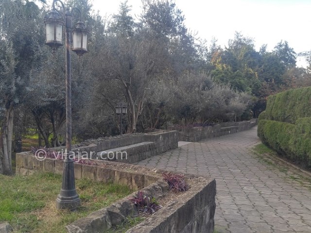 عکس شماره 7 - پارک کشاورز رشت