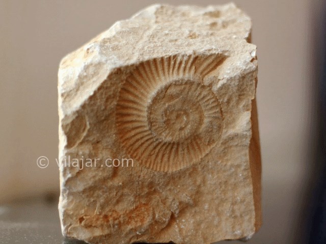 عکس شماره 4 - غار دربند مهدیشهر