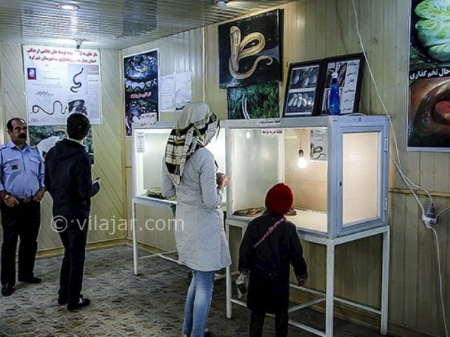 عکس شماره 3 - باغ خزندگان اصفهان