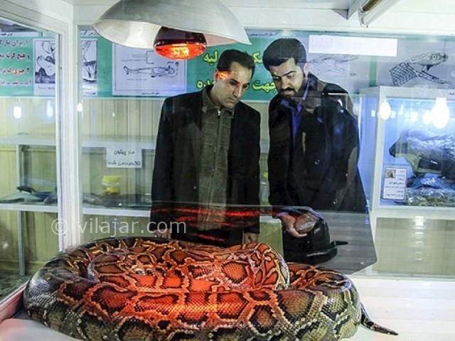 عکس شماره 6 - باغ خزندگان اصفهان