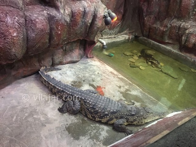 عکس شماره 7 - باغ خزندگان اصفهان